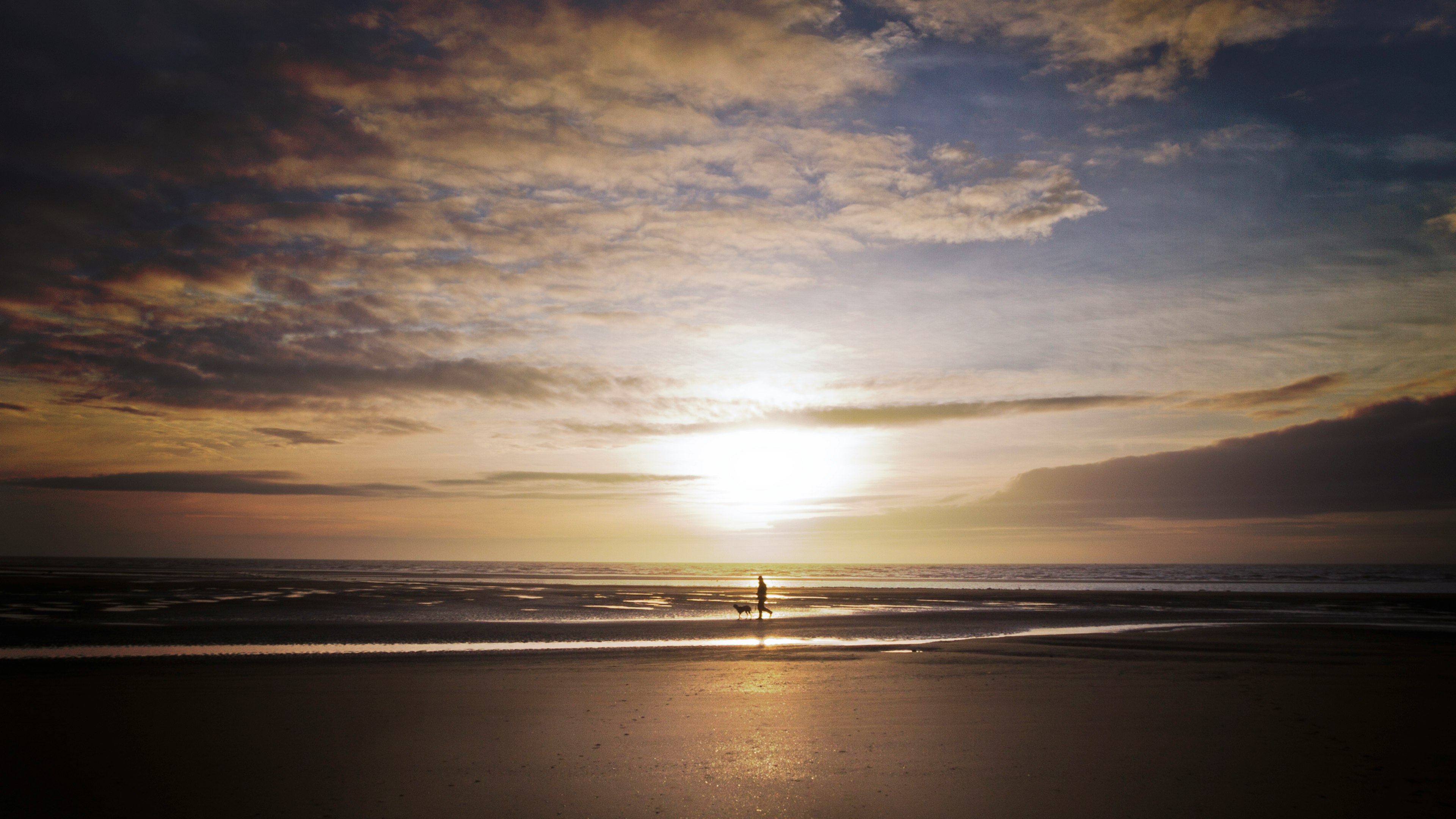 silhouette of people on beach during sunset